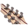 Электрогитара CORT KX507 Multi Scale (Star Dust Green) фото 7