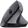Мишка Trust Bayo 2 Ergonomic Black (25145): інтерфейс підключення Wireless