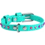 Ошейник WAUDOG Glamour с клеевыми стразами 9 мм 18-21 см ментоловый (325013): Производитель WAUDOG