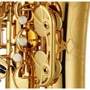 Саксофон YAMAHA YAS62S: Покрытие клавиш Серебряный лак с накладками из полиэстра