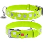 Нашийник Collar Glamour з візерунком Зірочка Світиться з QR паспортом 38-49 см 25 мм салатовий (4823089301365)