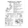 Легка англійська. Easy English. Starter Book для малят 4-7 років, что вівчають англійську: Автор Василь Федієнко