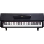 Цифровое пианино Alfabeto Allegro (Black): Тип Интерьерные