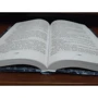 Джеймс Роллинс: Последняя одиссея: Количество страниц 448