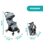 Коляска Chicco Goody Plus Stroller (79877.19.00): Материал колес полиуретан