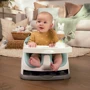 Сидение-бустер Ingenuity Baby Base 2-in-1 Mist (074451167285)
