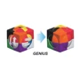 Настольная игра Стиль жизни CUBEL GENIUS (190333) (755828190333): Вид логические