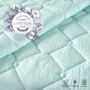 Одеяло IDEIA Tropical 140х210 см + подушка 50х70 см (8-32432): Прошивка стеганая