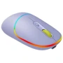 Мишка Canyon MW-22 Dual Band RGB Wireless Mountain Lavender (CNS-CMSW22ML): Максимальна роздільна здатність сенсора, dpi 1600
