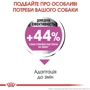 Сухой корм Royal Canin Mini Relax Care Adult для собак малых пород, чувствительных к изменениям среды 1кг (1224010): Класс Супер премиум