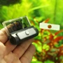 Термометр JBL LCD DigiScan электронный для наклеивания на стекло аквариума (61220) фото 3