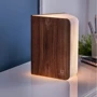 Светильник-книга на аккумуляторе Smart Book дерево орех (GK12W1): Вид Другое