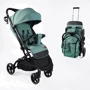 Детская прогулочная коляска Joy Elegans (A-40481)