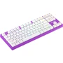 Клавиатура Hator Rockfall EVO TKL Optical Eng/Ukr/Rus, Lilac (HTK-633): Количество клавиш 87