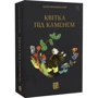 Анатолій Вишевський: Квітка під камнем: Кількість сторінок 616