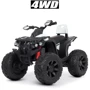 Детский электроквадроцикл Bambi Racer M 4795EBLR-1 до 30 кг: Вид квадроцикл