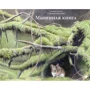 Стефан Каста: Мышиная книга