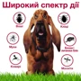 Капли Bayer/Elanco Advantix для собак 10-25 кг 4 пипетки/1 уп. (4007221047247) фото 8