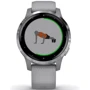 Смарт-часы Garmin Vivoactive 4S Silver Stainless Steel Bezel with Powder Gray Case and Silicone Band (010-02172-03/02): Тип гаджета Взрослые смарт часы