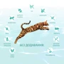 Сухой беззерновой корм Optimeal Beauty Fitness Adult cats на основе морепродуктов 4 кг (4820215366045): Вес упаковки 4 кг