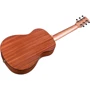 Гітара класична CORDOBA Mini II MH: Кількість струн 6