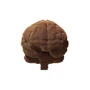 Картонний конструктор Cartonic 3D Puzzle BRAIN фото 3