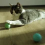 Мячик для котов Cheerble Ice Cream Ball Зеленый (2213)