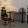 Стол Mealux PowerDesk Duo Antique c электрорегулировкой высоты (EVO-242 Duo Antique /B)