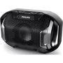 Акустика Philips SB300B Black: Цвет черный