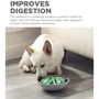 Миска-лабіринт для собак Outward Hound Dog Spin N`Eat Grn салатова (oh70648): Тип Миски