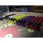 Настольная игра Pandasaurus Games Tammany Hall New Edition - EN НА АНГЛИЙСКОМ ЯЗЫКЕ: Вид стратегические