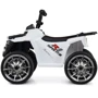 Детский электроквадроцикл Bambi Racer M 4137EL-1 до 30 кг: Материал корпуса пластик