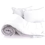 Одеяло Руно Bubbles 200х220 см + 2 подушки 50х70 см (925.52Bubbles)