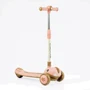 Самокат триколісний Skyper (SJ-02505)