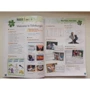 Welcome 3: Workbook: ISBN 9781843253068, 978-1-84325-306-8
