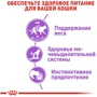 Влажный корм Royal Canin Sterilized Loaf для взрослых стерилизованных кошек 85 г паштет (9003579003923): Класс Супер премиум