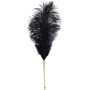 Набор перышек для ласк LOCKINK Sevanda Natural Peacock Flirting Feather Tickler
