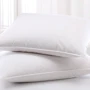 Подушка ТЕП White Collektion 70х70 см (4820185673730): Размер, см 70x70