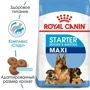 Сухой корм для щенков Royal Canin Maxi Starter крупных пород и беременных собак 4 кг (2994040): Тип Сухой корм