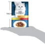 Влажный корм GOURMET Perle Duo для взрослых кошек мини филе в подливке с курицей и говядиной 26х85 г (7613033574702): Возраст Взрослые