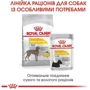 Сухой корм Royal Canin Dermacomfort Maxi Adult для собак с проблемной кожей 12 кг (24441209): Класс Супер премиум