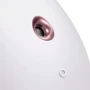 Електронний освіжувач для зволоження обличчя GESKE Facial Hydration Refresher 4 в 1 Starlight (GK000057SL01) фото 4