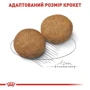Сухой корм для собак Royal Canin Medium Adult средних пород 4 кг (3004040): Класс Супер премиум