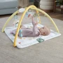 Коврик-игровой центр Fisher-Price Первые прикосновения ребенка (HRB15): Размер, см 73х46