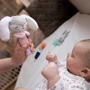 Игрушка с пищалкой BabyOno Bunny Sunday 23 см (1498): Тип Игрушки-пищалки