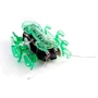 Микро-робот Hexbug АНТ зеленый: Цвет зеленый