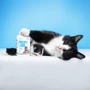 Витамины Provet Profiline Комплекс для котят, беременных и кормящих кошек 180 таб. (4823082418763): Объем/Количество таблеток 180 т.