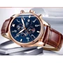 Наручные часы Carnival Grand Brown 8701: Механизм Механический