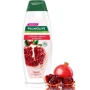 Palmolive Шампунь Натурэль Сияние цвета с натуральным экстрактом Граната 380ml: Пол Для женщин