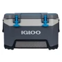 Ізотермічний контейнер Igloo BMX 52 49 л (0342234978350): Вага 7.4 кг